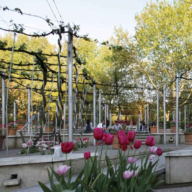 Les nouveaux jardins de la Villette - Jardin de la treille ©Marie-Sophie Leturcq
