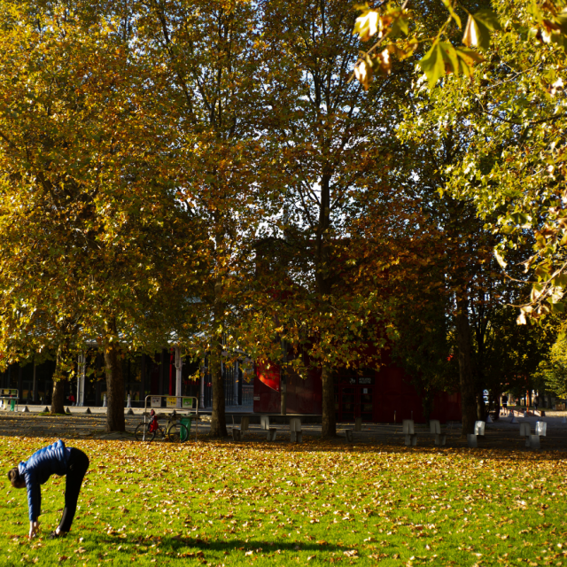 Vues sur Parc de La Villette en automne